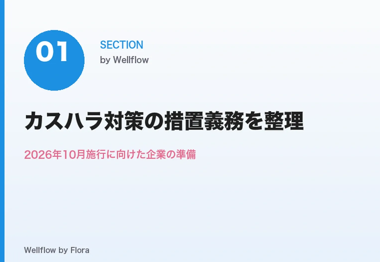 カスハラ対策の措置義務|2026年10月施行に向けた企業の準備